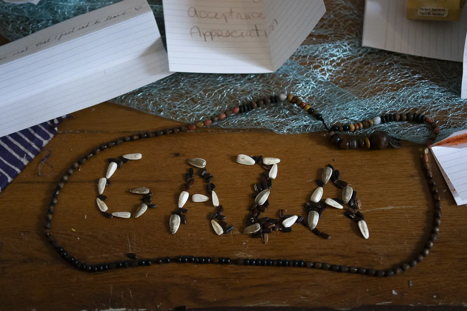 BIPoC Climate Justice Conference 2025 - Others images - RRSS_BipocConference_2025-46